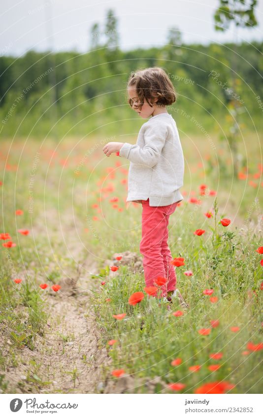 Cute little girl having fun in a poppy field Joy Happy Beautiful Life Playing Child Human being Baby Girl Woman Adults Infancy 1 3 - 8 years Nature Flower Grass