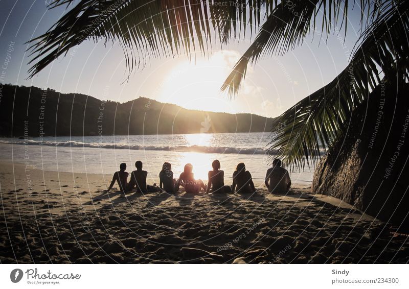 Seven times happy Joy Vacation & Travel Far-off places Freedom Summer Summer vacation Sunbathing Beach Ocean Island Human being Friendship Group 18 - 30 years