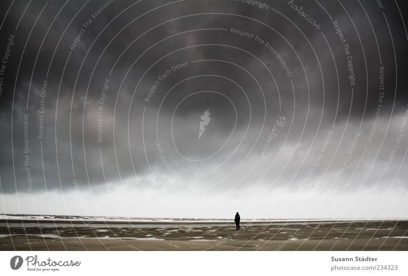 Spiekeroog too fast. 1 Human being Sky Clouds Storm clouds Coast Beach North Sea Breathe Calm Loneliness Mud flats Creepy Dark Exterior shot