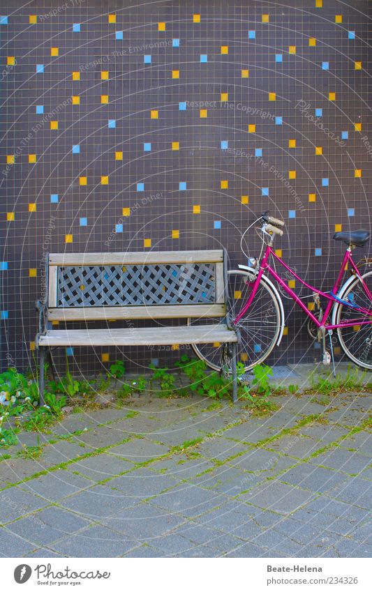 meeting place Summer Wall (barrier) Wall (building) Bicycle Concrete Relaxation Retro Blue Yellow Gray Green Pink Emotions Warm-heartedness Serene Calm
