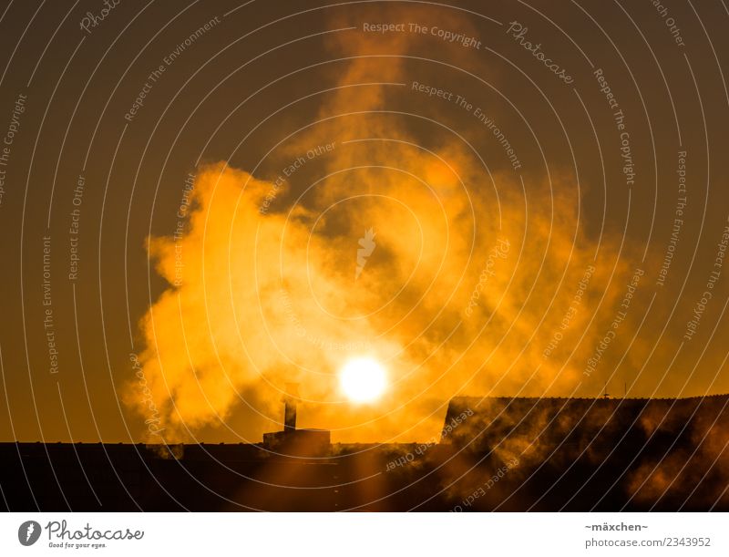 morning sun Berlin Town House (Residential Structure) Roof Chimney Bright Cold Beautiful Yellow Gold Moody Sunrise Sunbeam Lens flare Smoke Smoke cloud Heat Sky