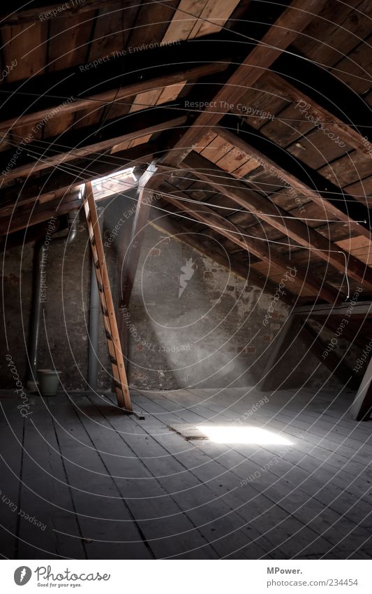 attic Roof Stone Concrete Wood Moody Calm Ladder Light Roof beams Clothesline Dust Tall Attic story Illuminate Floorboards Bucket Old building Contrast Dark