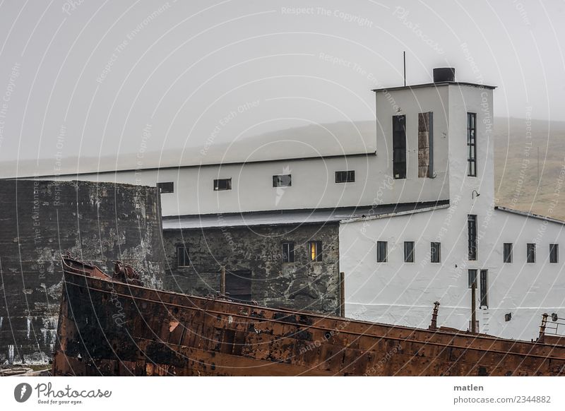 last light in the fish factory Factory Navigation Old Dark Brown Gray Black Fog bank Wreck Iceland Westfjord Light Colour photo Subdued colour Exterior shot