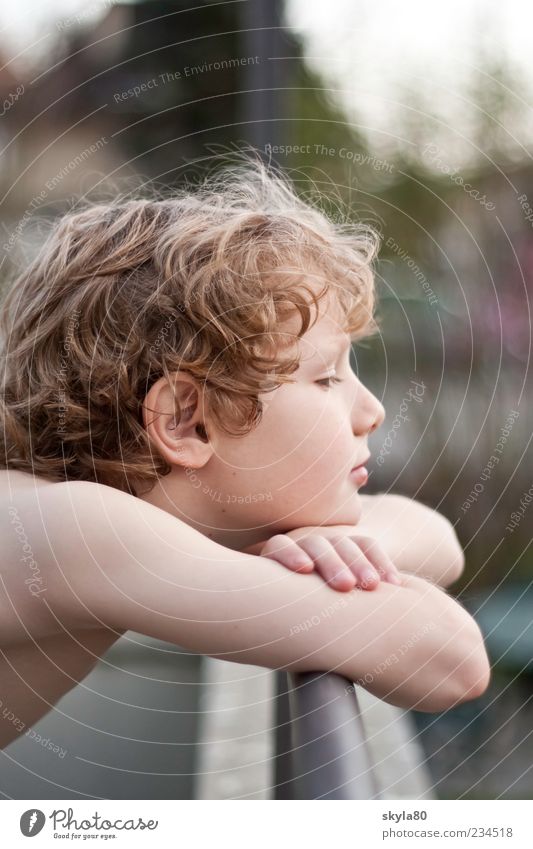 dreamcatcher Child Blonde Boy (child) Face Hair and hairstyles Looking Dreamily Think Meditative already Curl Head Relaxation Handrail Banister Support sleeves