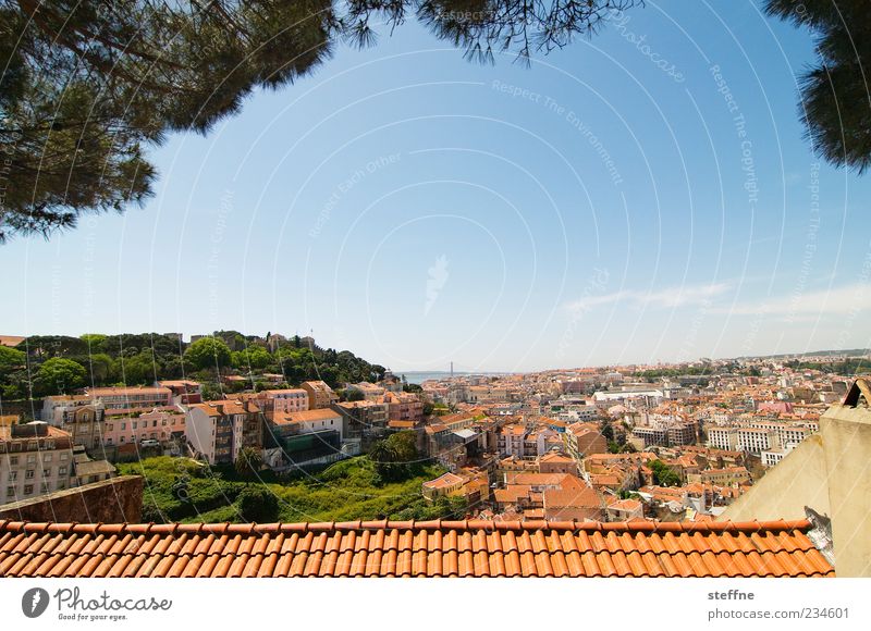 Miradouro da Graca Cloudless sky Summer Beautiful weather Tree Lisbon Portugal Capital city Downtown Old town Skyline Populated House (Residential Structure)