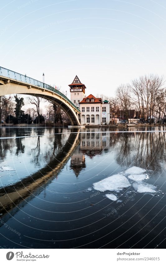 Island of youth in winter Environment Landscape Winter Ice Frost River bank Outskirts Dream house Manmade structures Building Architecture Tourist Attraction