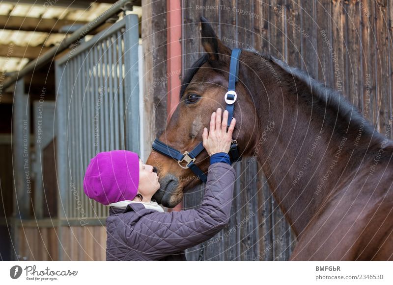 Beloved quadruped Leisure and hobbies Ride Winter Sports Equestrian sports stable Human being Feminine Woman Adults 1 30 - 45 years Cap Animal Pet Horse Touch