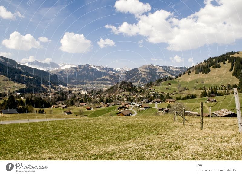 Saanenland Summer Mountain Nature Landscape Clouds Sunlight Spring Beautiful weather Grass Meadow Hill Alps Gstaad Ski resort Home country Switzerland Village