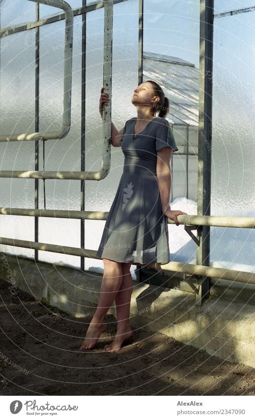 analogue portrait of a young woman standing barefoot in a glass greenhouse Elegant already Well-being Relaxation Greenhouse Iron-pipe Young woman