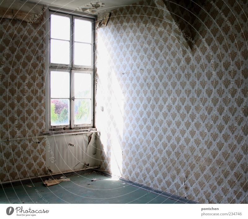 Empty space. Patterned wallpaper and broken windows in a dilapidated old building. Lost place property sharks Flat (apartment) Redecorate