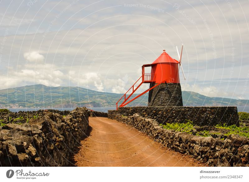 Windmill in vineyards of Pico island, Azores, Vacation & Travel Sightseeing Summer Ocean Island Landscape Plant Sky Clouds Grass Building Architecture Street