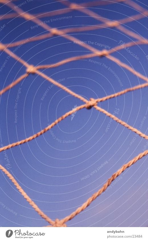 toooor Sky Net Network Colour photo Blur Close-up Reticular Interlaced Geometry Node Bright background