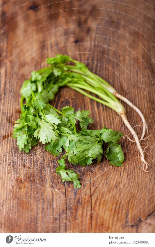 coriander Food Herbs and spices Organic produce Vegetarian diet Diet Asian Food Cheap Good Coriander cilantro Root Leaf Rustic Ingredients 2 Fresh Cooking