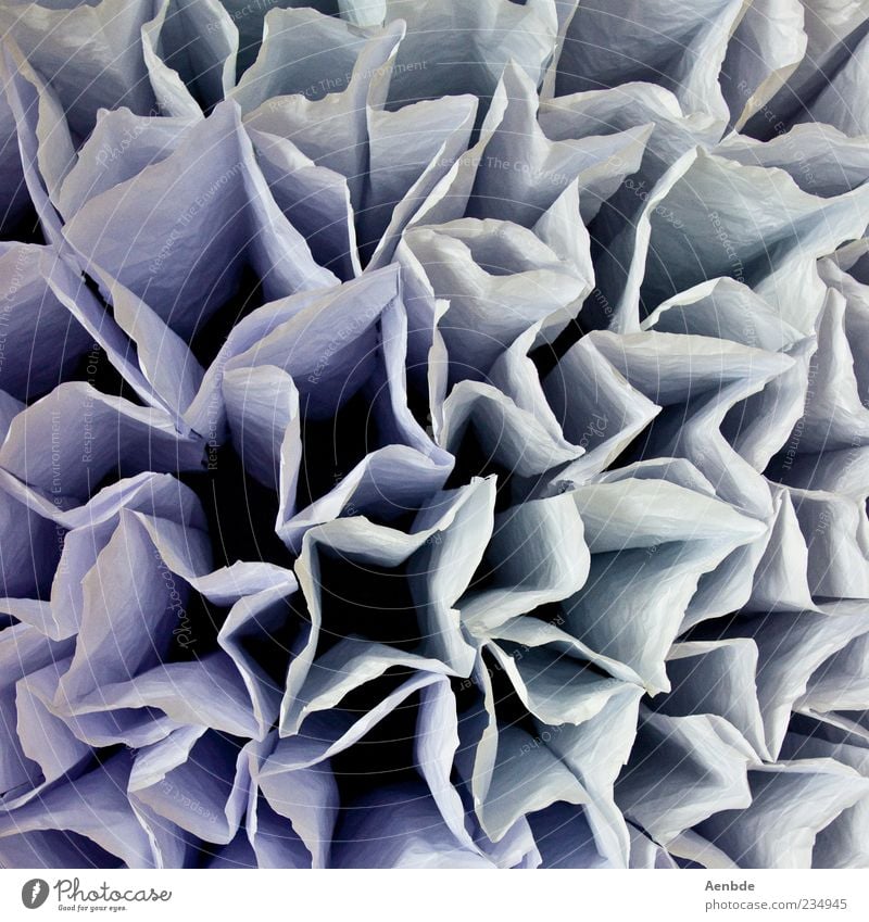 like flowers in wintertime... Environment Esthetic Cool (slang) Exotic Blue White Paper Deep Cold Wrinkles Wrinkled Colour photo Interior shot Abstract Pattern