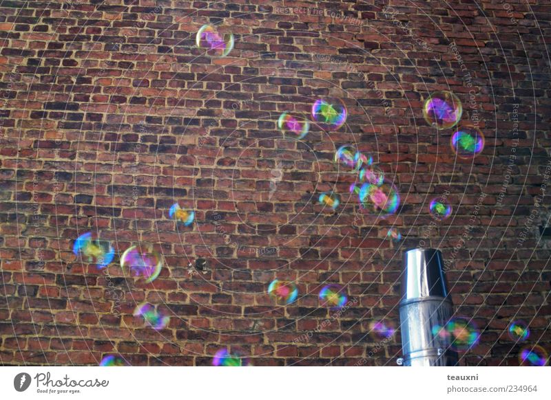 bubbly 2 Wall (barrier) Wall (building) Soap bubble Stone Flying Happiness Transience Colour photo Brick wall Glimmer Hover Deserted Background picture