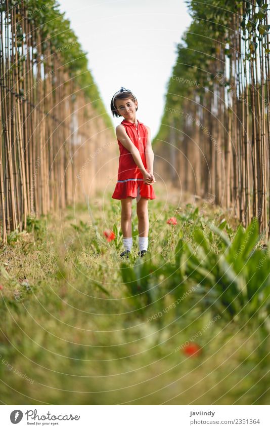 Little girl walking in nature field wearing beautiful red dress Lifestyle Joy Happy Beautiful Playing Summer Child Human being Feminine Baby Girl Woman Adults