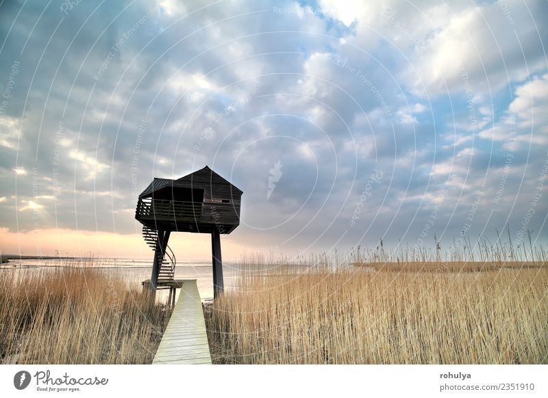 wooden observation tower over sky, Netherlands Vacation & Travel Nature Landscape Sky Clouds Horizon Spring Weather Beautiful weather Coast Building