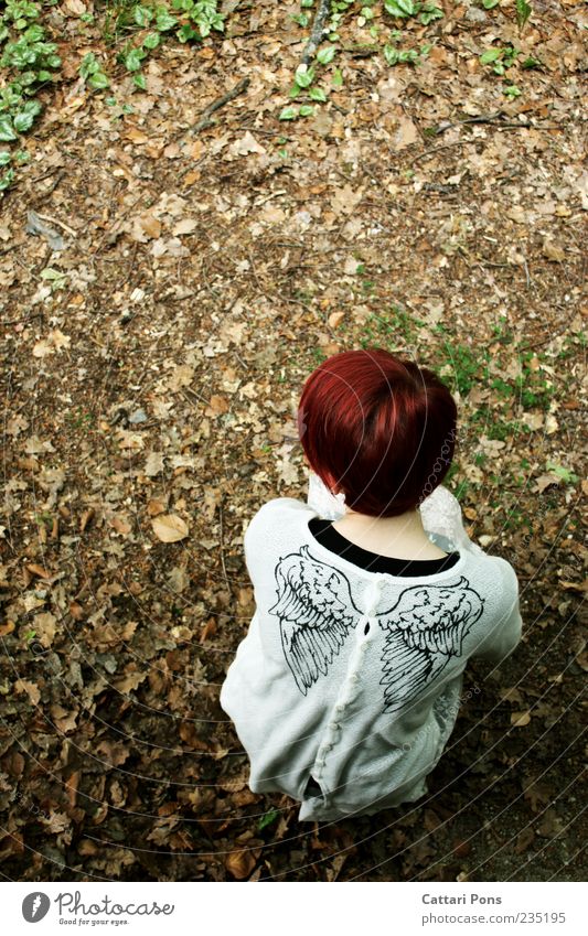 Sentimental Journey 1 Human being Leaf Red-haired Short-haired Observe Crouch Uniqueness Thin Beautiful Angel Wing Ground Colour photo Exterior shot Day