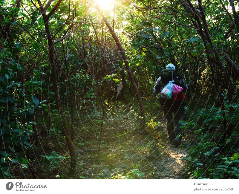 walk dady walk,... Masculine 1 Human being 45 - 60 years Adults Environment Nature Plant Earth Sun Summer Tree Bushes Foliage plant Wild plant Virgin forest