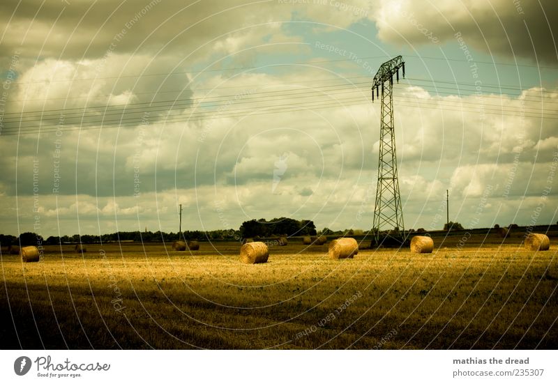 SUNSPOT Energy industry Environment Nature Landscape Sky Clouds Horizon Summer Beautiful weather Wind Tree Field Bale of straw Harvest Electricity pylon Bright