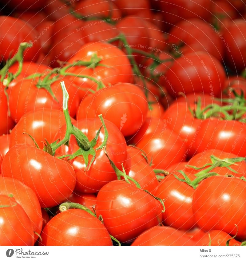 tomatoäh Food Vegetable Nutrition Organic produce Vegetarian diet Fragrance Fresh Delicious Round Juicy Red Tomato Bush tomato Many Colour photo Multicoloured
