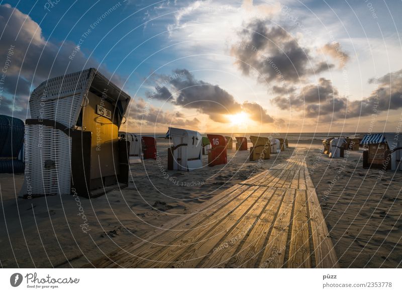 to the sun Swimming & Bathing Vacation & Travel Tourism Summer Summer vacation Sun Sunbathing Beach Ocean Island Nature Landscape Sand Sky Clouds Sunrise Sunset