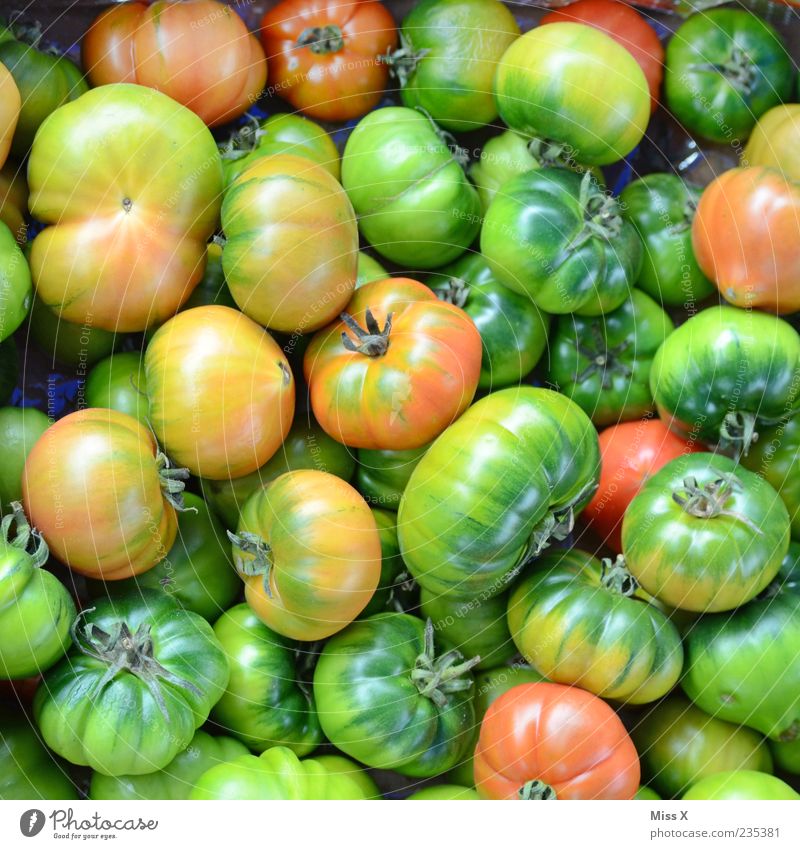 green tomatoes Food Vegetable Nutrition Organic produce Vegetarian diet Fresh Delicious Round Juicy Sour Green Tomato Immature Colour photo Multicoloured