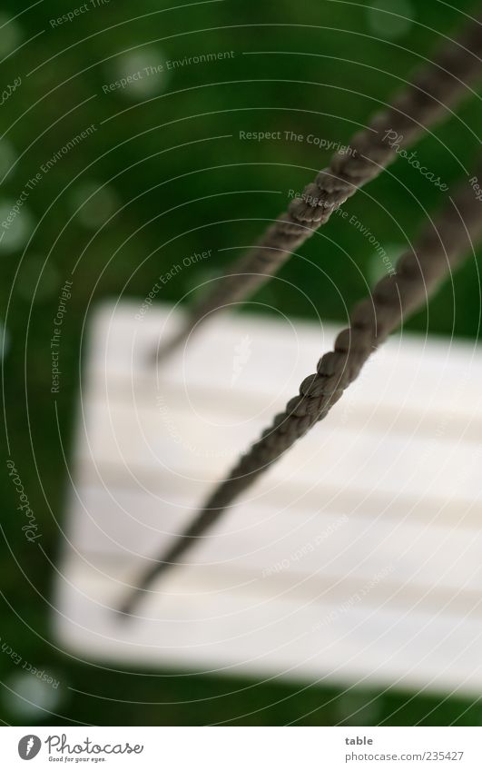 rocked... Swing Rope Garden Lawn Playground Wood Hang Dark Gray Green White Calm Loneliness Stagnating Colour photo Exterior shot Detail Deserted Day Contrast