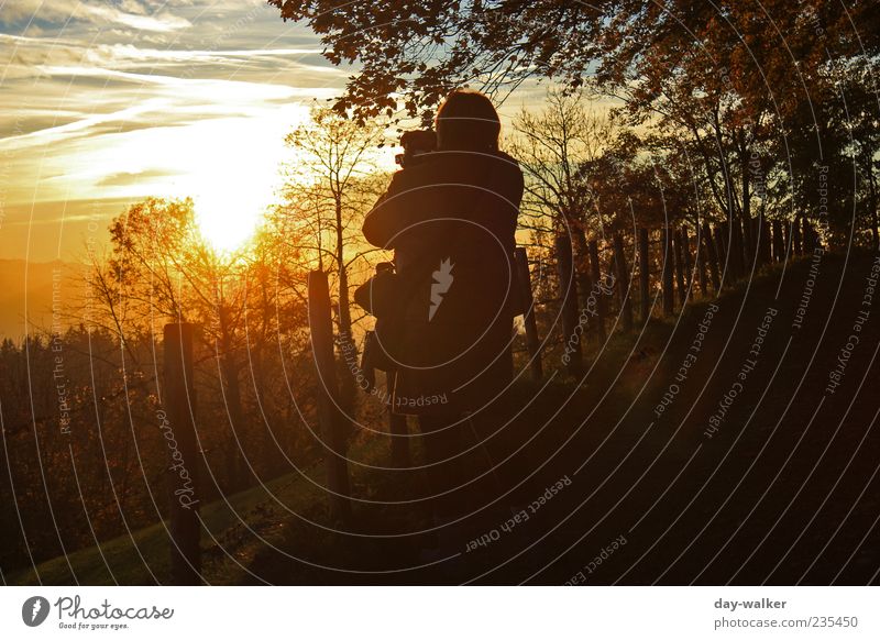 From the dark side to bright Human being Woman Adults 1 Nature Landscape Plant Air Sky Clouds Sun Autumn Beautiful weather Tree Grass Hill Alps Mountain Observe