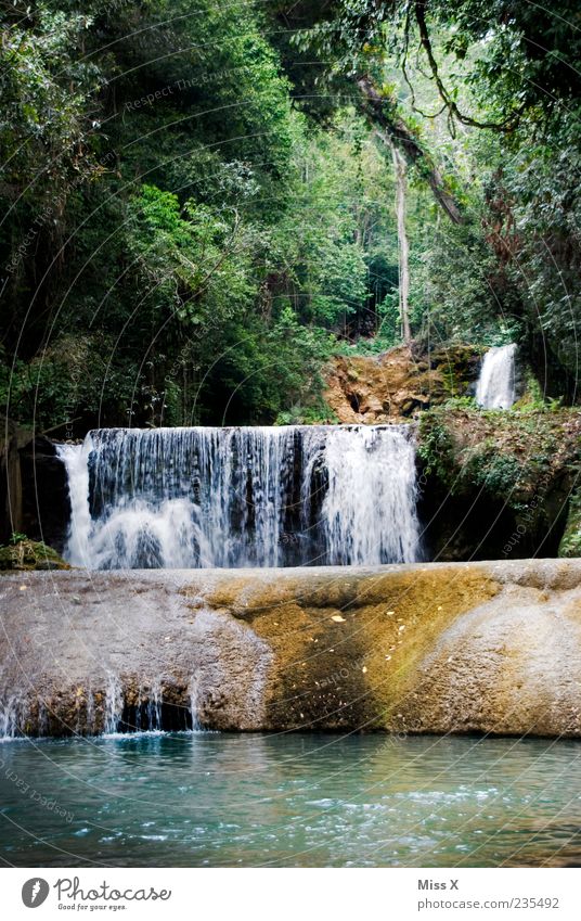 waterfall Environment Nature Landscape Water Forest Virgin forest Rock Waterfall Exotic Wet Jamaica Colour photo Multicoloured Exterior shot Deserted Shadow