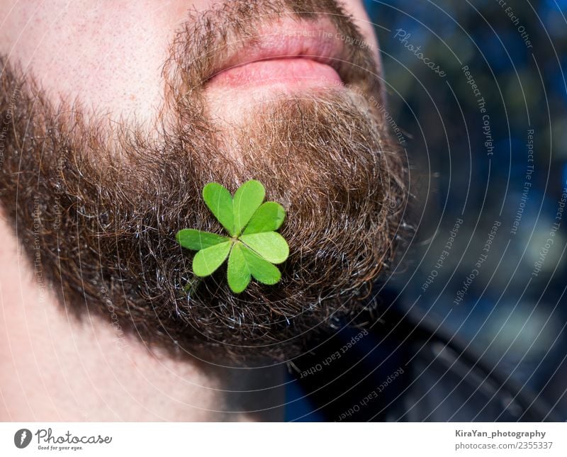 Bearded man face with natural green clover leaf Lifestyle Happy Face Decoration Feasts & Celebrations Man Adults Lips Nature Plant Leaf Happiness Natural Green