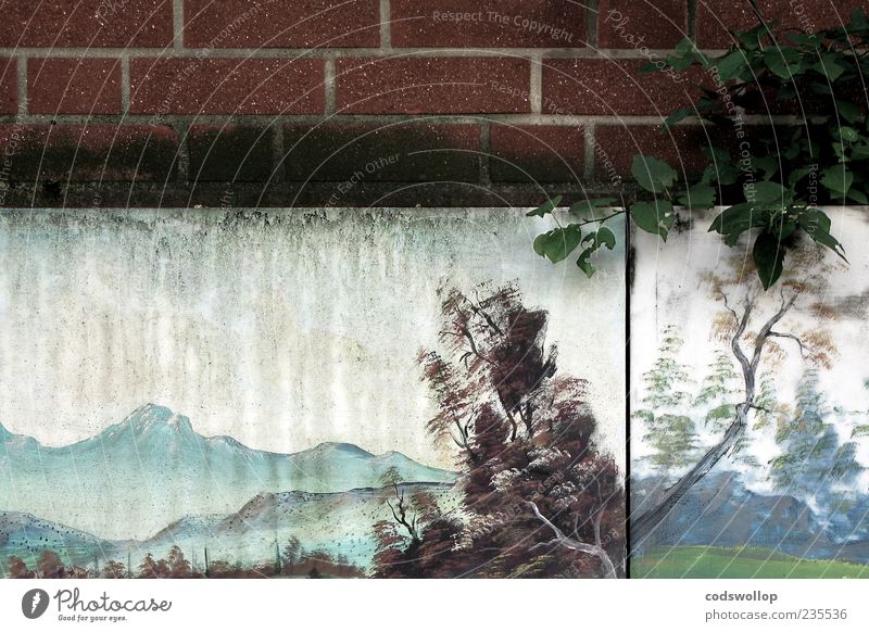 paradise lost Nature Landscape Plant Tree Foliage plant Mountain Wall (barrier) Wall (building) Esthetic Dirty Trashy Gloomy Art Whimsical Sadness Transience