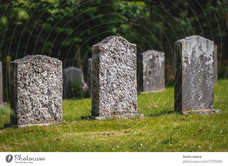 Graveyard Healthy Care of the elderly Intoxicant Life Hallowe'en Funeral service Grass Park Church Tourist Attraction Monument Stone Sign Signs and labeling