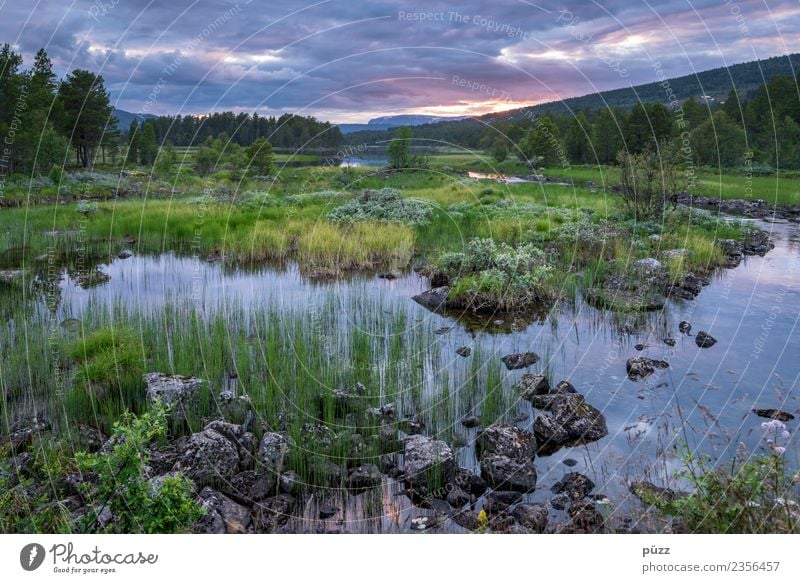 dusk Environment Nature Landscape Water Sky Clouds Summer Tree Grass Bushes Field Forest River bank Lake Norway Hiking Blue Green Emotions Contentment Beautiful