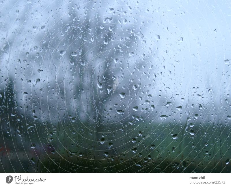 It's raining ... tree unsharp rain raindrops pane window glass window pane rainy X