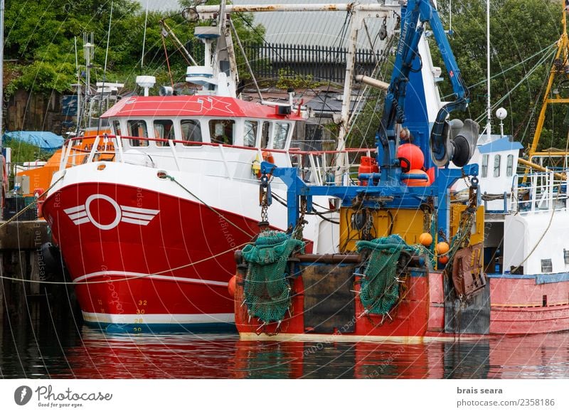 Oban Harbour. Fishing (Angle) Vacation & Travel Tourism Beach Ocean Work and employment Profession Workplace Economy Industry Trade Logistics Landscape Coast