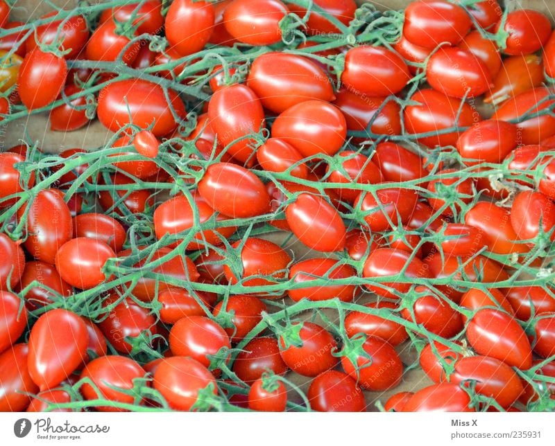 trussed tomatoes Food Vegetable Organic produce Fresh Small Delicious Round Red Vine tomato Bush tomato Tomato Vegetable market Greengrocer