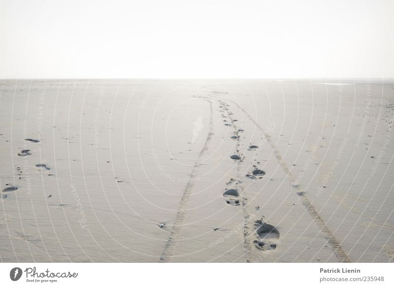 Spiekeroog Space Odyssey. Vacation & Travel Far-off places Beach Island Environment Nature Landscape Earth Sand Horizon Sun Climate Weather Footprint Walking