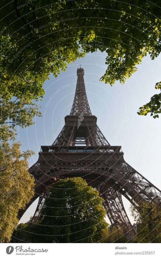 landmarks Sky Cloudless sky Beautiful weather Plant Tree Leaf Foliage plant Park Paris France Europe Capital city Tower Manmade structures Architecture