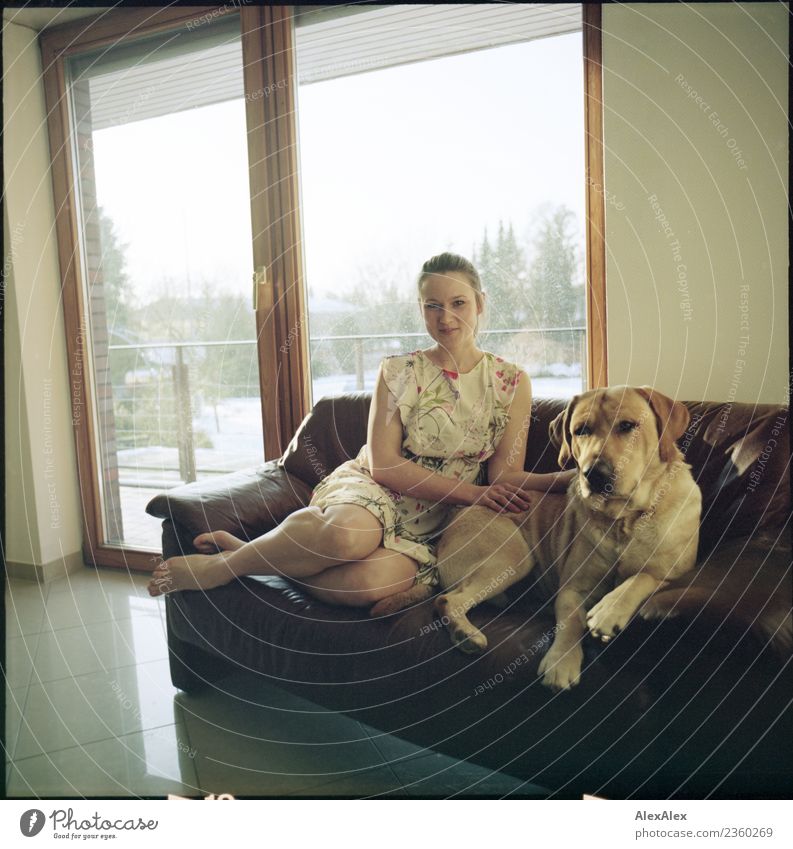 Young woman sitting barefoot on a brown leather couch with a blond Labrador - analogue medium format with picture frame already Harmonious Sofa balcony window