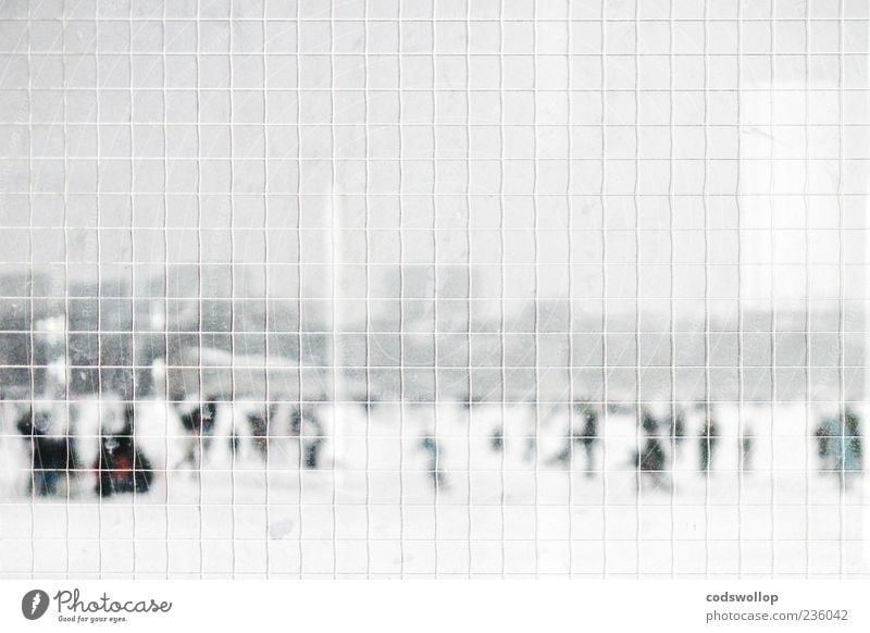 Safety first Winter Snow Cold Gray White Alster Safety glass Grid Panorama (View) Weather Ice Pedestrian To go for a walk Reflection Landscape Subdued colour