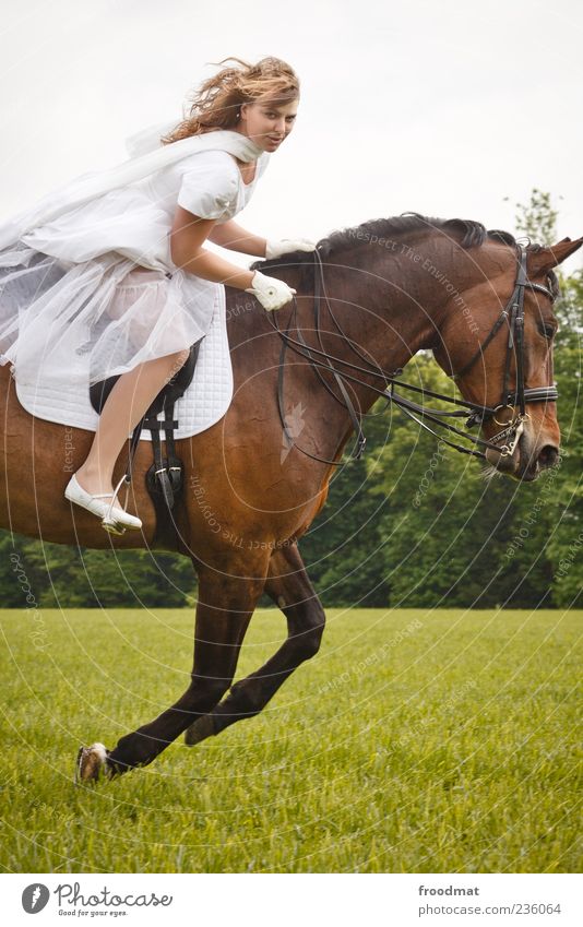 speed Human being Feminine Young woman Youth (Young adults) Woman Adults Animal Horse Movement Joy Joie de vivre (Vitality) Power Wedding dress Ride Blonde