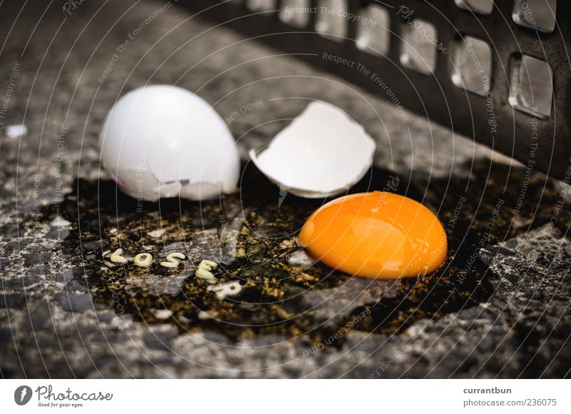 table tennis rope Characters Whimsical Egg Yolk Table tennis table Gray Yellow Colour photo Multicoloured Exterior shot Close-up Detail Deserted Day Broken