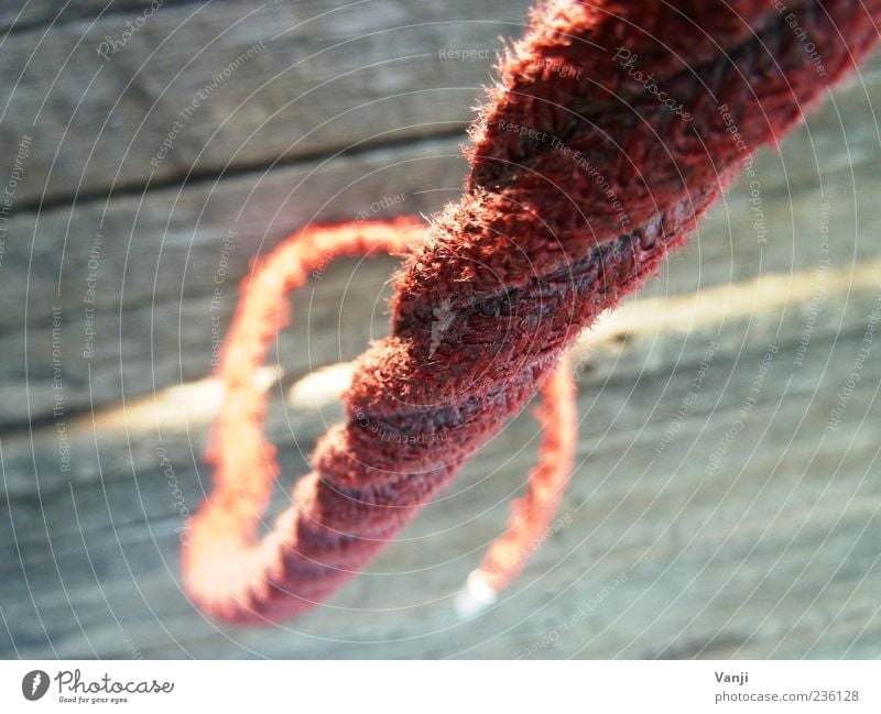 Red rope Rope Hang Gray Old Wooden board Colour photo Exterior shot Day Close-up Suspended Hold Firm Deserted Blur 1