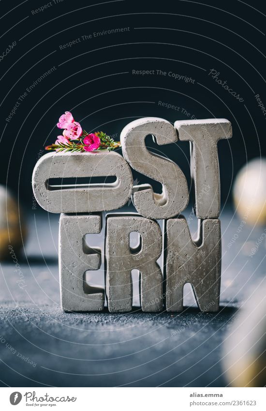 OSTERN - Easter card from concrete letters Easter wish Easter gift Easter egg Concrete Creativity Letters (alphabet) Flower Contrast Converse Rustic Gray Stack