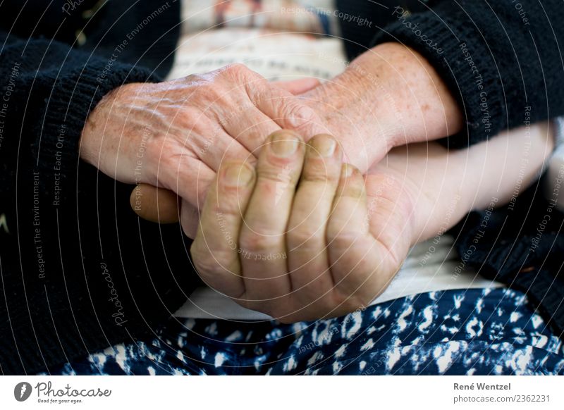 Familiar Hands Human being Masculine Feminine Woman Adults Man Female senior Male senior Parents Mother Father Senior citizen Life Skin Fingers 2