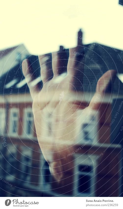 Evenings With Long Shadows. Masculine Hand Fingers House (Residential Structure) To hold on Emotions Reflection Window Window pane Glass Pane Colour photo