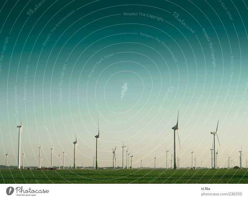 Dithmarschen, the last adventure Wind energy plant Landscape Sky Spring Beautiful weather Meadow Field Rotate Large Blue Green Climate Environmental protection