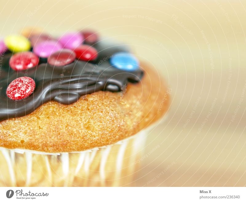 muffin Food Cake Dessert Candy Chocolate Nutrition Delicious Sweet Multicoloured Appetite Muffin Chocolate buttons Colour photo Close-up Copy Space right