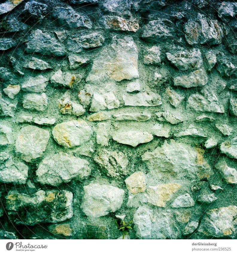 stony paths 1 Manmade structures Old Gray Green Stone Sharp-edged Colour photo Pattern Structures and shapes Deserted Stone wall
